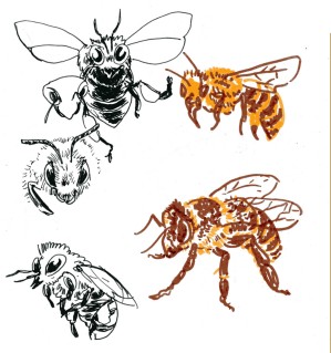 études d'abeille