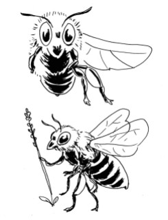 études d'abeille
